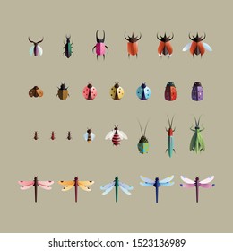 Bugs, Insects. Modern set of icons, symbols and illustrations - Vector