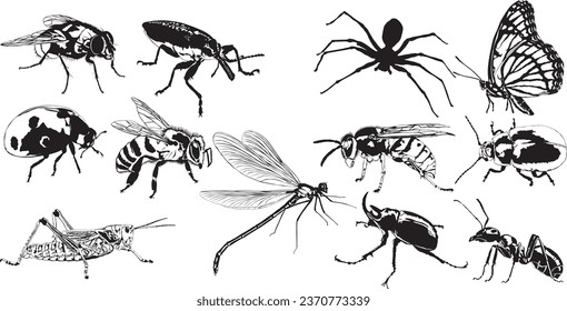 Bugs and Insects Vector Illustration Set
