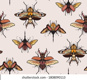Bugs, moth, butterfly insect animal seamless pattern. Fly  wildlife background. Biology  species, fabric cloth design, old school tattoo print. Sketch drawing vector.