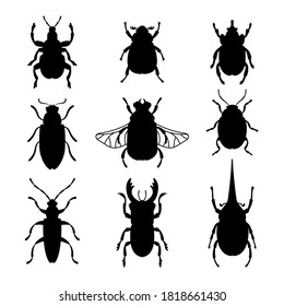 Bugs silhouettes set. Black stencils shapes of beetles, contours of insects, vector illustration outline creatures of science of entomology isolated on white background