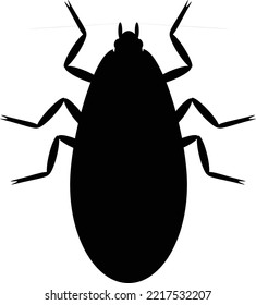 Bugs species sihouette vector art and illustration