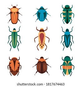 Bugs vector icons for web design isolated on white background. Bug and Insect set in cartoon style.