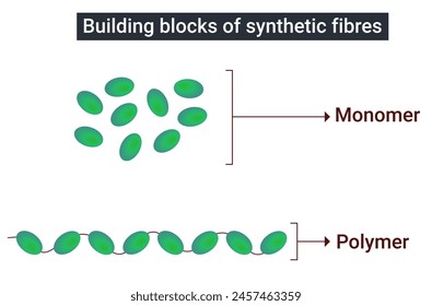 Bausteine aus synthetischen Fasern: Monomer, Polymer