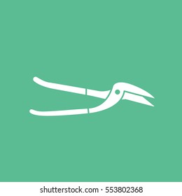 Building Construction Tool Pliers Flat Icon On Green Background