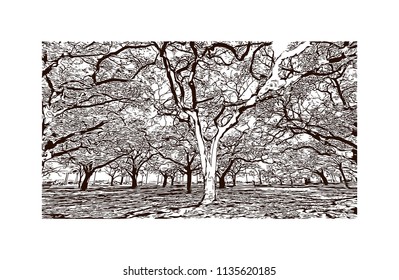 Building with landmark view of Honolulu, on the island of Oahu’s south shore, is capital of Hawaii and gateway to the U.S. island chain. Hand drawn sketch illustration in vector.