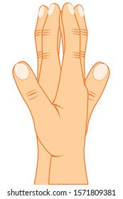 Built together palm of the hands on white background is insulated