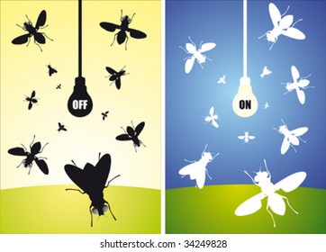 Bulb and flying flies