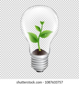 Bulb With Green Sprout Transparent Background With Gradient Mesh, Vector Illustration