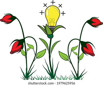 Bulb idea and inspiring rose or inspiring roses