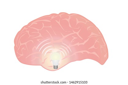 Bulb inside brain. idea concept. vector