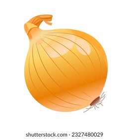 Bulb on a white background. Onion. Vector illustration