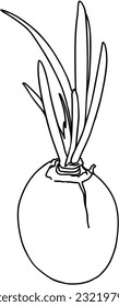 Bulb onion with overgrown greens food vegetable garden harvest doodle linear cartoon coloring