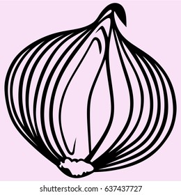 bulb onion vector silhouette isolated