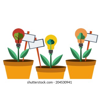 Bulb From Plant With Label  Concept