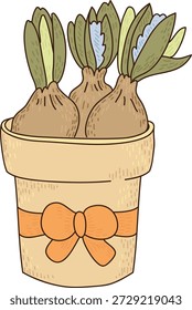 Bulb planter with three sprouting bulbs in a ribboned pot, hand drawn with textured lines. Symbol of growth, gardening, present, and new beginning. Cartoon vector illustration.