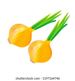 Bulbs on a white background
