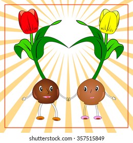 Bulbs Tulips