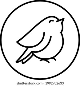 Bulbul bird, illustration, on a white background.