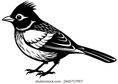 bulbul bird playing  vector art illustration