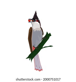 A bulbul perched on a green branch.Isolated vector illustration on a white background.Birds that are flying very beautifully are seen making an interesting object to see.