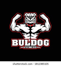 buldog fitness mascot logo character