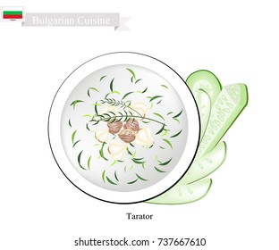 Bulgarian Cuisine, Taratoror or Traditional Sour Cold Milk Soup Made of Yogurt, Cucumber, Dill, Walnuts and Garlic. One of The Most Famous Dish in Bulgaria.