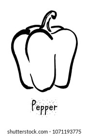 
Bulgarian pepper vector illustration