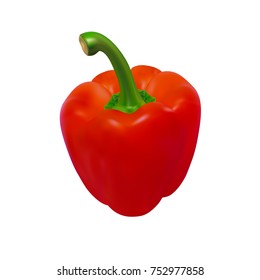 Bulgarian pepper in a vector on a white background.Bulgarian pepper vector illustration.