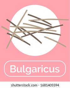 Bulgaricus bacteria with positive effect on microflora and digestive system of human. Probiotics for healthy functioning of body. Microorganism for immunity and organism health. Vector in flat