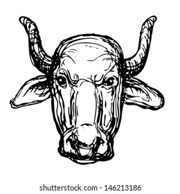 bull