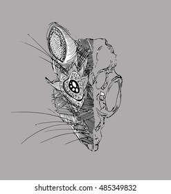 the bull animal with wool texture and half only skeleton hand drawn black outline isolated