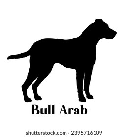 Bull Arab Dog silhouette dog breeds dog monogram logo dog face vector