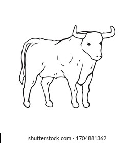 Bull with big horns, hand drawn outline illustration. Domestic animal pen drawing vector image. Big male cattle pen cartoon sketch. Mammal standing contour logo. Simple horned animals.