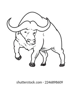 bull or buffallo book illustration