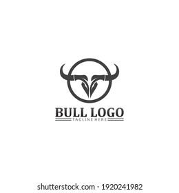 Bull buffalo head, cow, animal  mascot logo design vector for sport horn buffalo, animal, mammals, head logo, wild, matador
