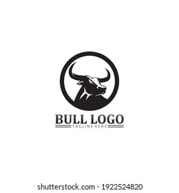 Bull buffalo head, cow, animal  mascot logo design vector for sport horn buffalo, animal, mammals, head logo, wild, matador
