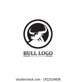 Bull buffalo head, cow, animal  mascot logo design vector for sport horn buffalo, animal, mammals, head logo, wild, matador
