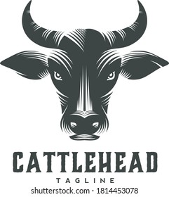Bull Cattle Cow Head Logo Design Vector Image