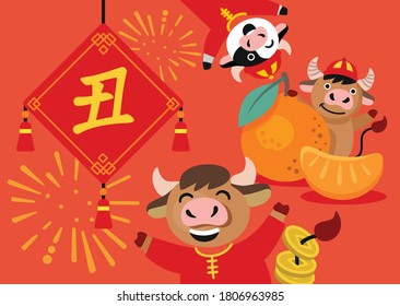 bull Chinese new year celebration. Chinese character for translation year of ox