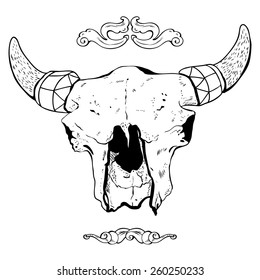 bull ckull, vector black/white illustration