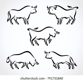 Bull collection set. Vector