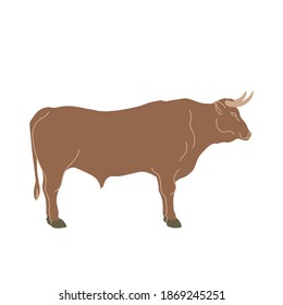 Bull in colored flat style. For logo, icons, emblems, template, badges. Vector illustration