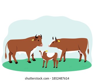 A bull, cow and a calf stand on the grass. Symbol of 2021.
Big horned cattle. In the summertime, pets are walked in a field with lush grass. Flat vector illustration.