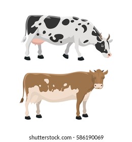 Bull and cow farm animal vector illustration.