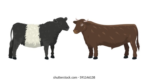 Bull and cow farm animal vector illustration.