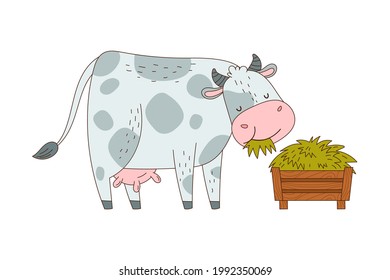 Bull or Cow with Horns and Spots as Farm Animal Chewing Grass Vector Illustration