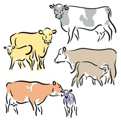 Bull, Cow, Ox A Calf Drawing. Stylized Silhouettes Of Standing In Different Colors. Isolated On White Background. Bull Logo Designs Set. Simple Hand Vector Illustration. Chinese Happy New Year 2021.