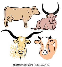 Toro, vaca, buey un dibujo de ternera. Siluetas estilizadas de diferentes colores. Aislado sobre fondo blanco. Diseños de logotipo de toros. simple ilustración vectorial. Chinos felices año nuevo 2021.