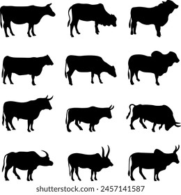 Bull cow silhouettes black vector set cattle silhouette collection