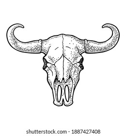Bull or cow skull with horns. Vintage black vector engraving illustration. Isolated on white background. Hand drawn in a graphic style.